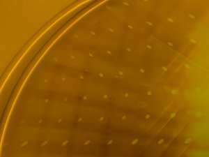 品设计思常见故障：遇到这几种情况如何自行解决